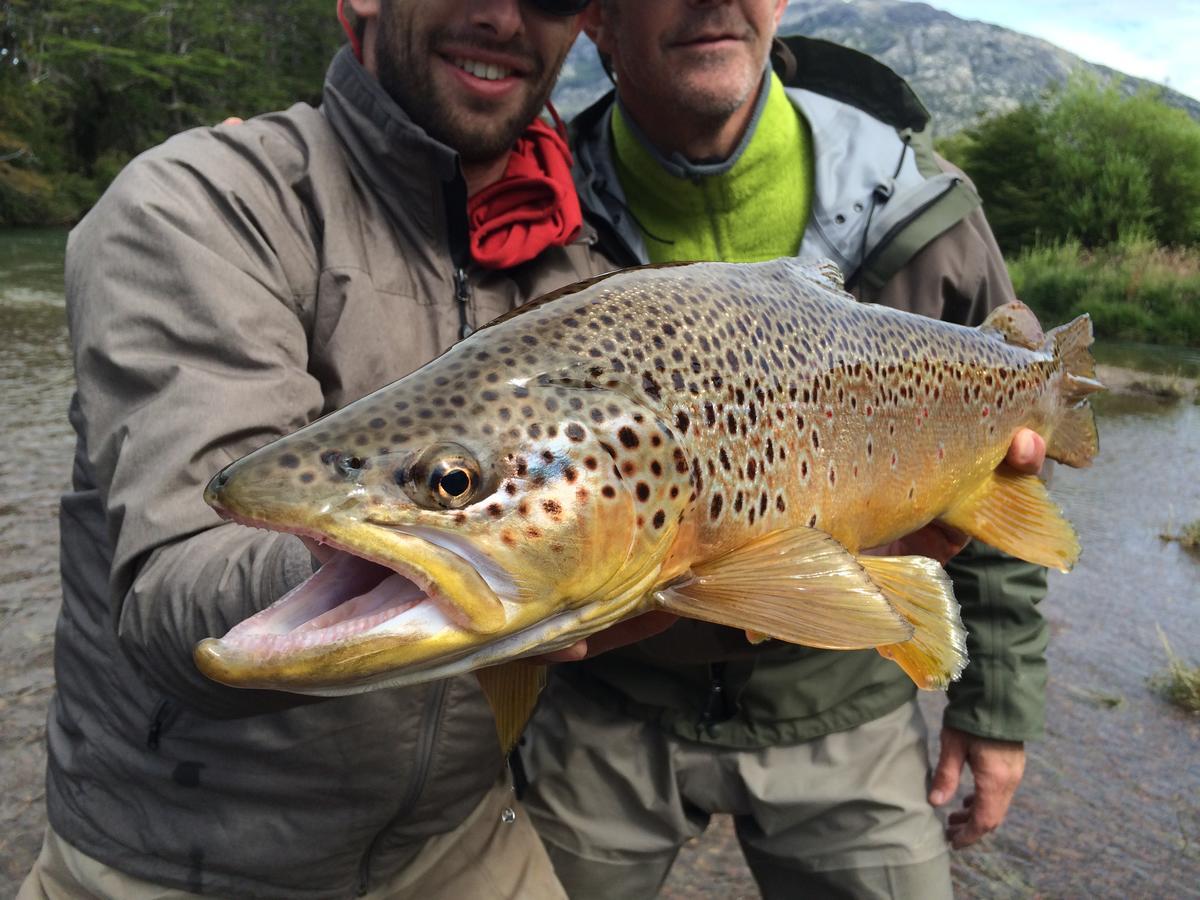 كويهايك Vista Patagonia Lodge المظهر الخارجي الصورة