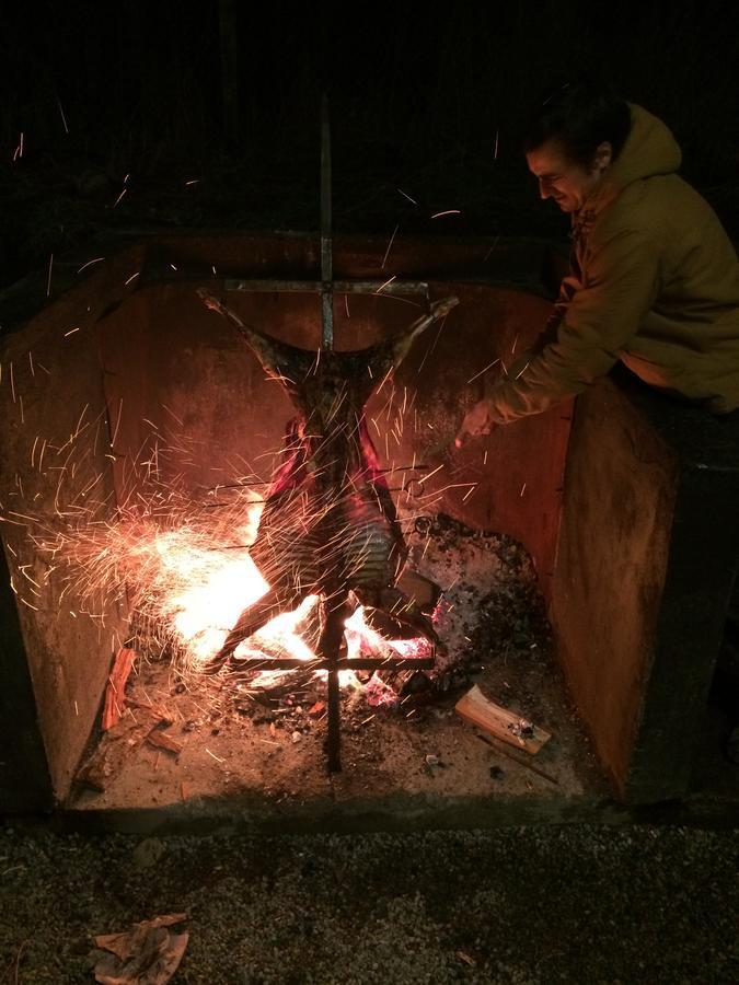 كويهايك Vista Patagonia Lodge المظهر الخارجي الصورة